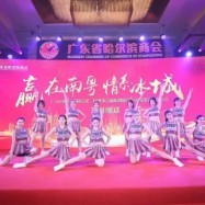 专业摄像服务，为深圳演出公司打造精彩视觉盛宴