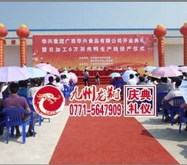 南宁楼盘开盘庆典策划 专业与创意并重的开业盛典